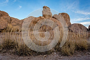 New Mexico Landscapes