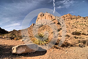 New Mexico Landscapes