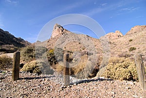 New Mexico Landscapes