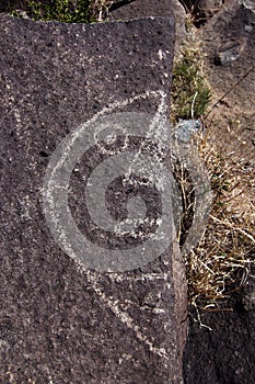 New Mexico Petroglyph