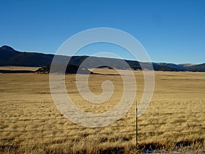 New Mexico Plains