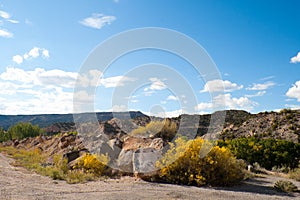 New Mexico Vista photo