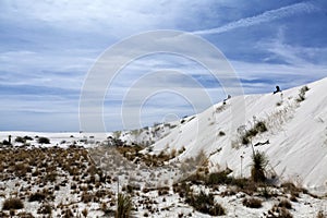 New Mexico - The white sands