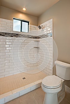 New Modern Home Guest Bathroom