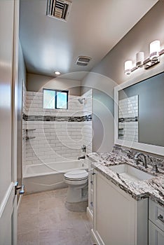 New Modern Home Mansion Guest Bathroom