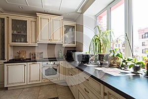 New modern kitchen interior
