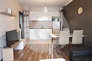 New modern living room with dining room. New home. Interior photography. Wooden floor