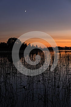 New Moon in the Sky After Sunset