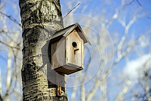 New nesting box on the tree