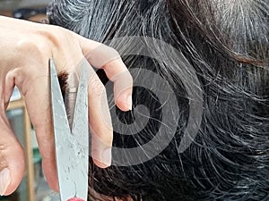 New normal girl left hand hold gray hair for cutting by Scissors cut the golden women hairs