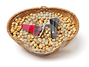 New nutcrackers tools and hazelnuts