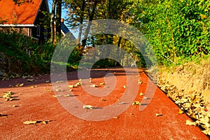 New orange bicycle path with autumn leaves in Netherlands