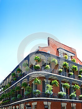 New Orleans Architecture photo