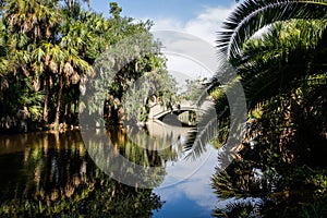 New Orleans City Park Bayou