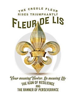 New Orleans Culture Collection Fleur de Lis