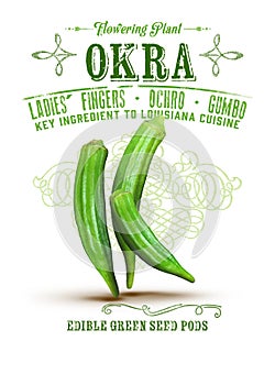 New Orleans Culture Collection Okra photo