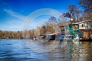 New Orleans Swamps