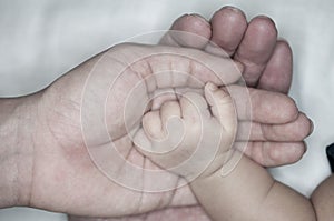 New parent holds his newborn infant baby`s hand for the first time. Parent holding newborns hand. Hand in hand. Parenthood. Mother