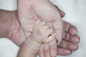 New parent holds his newborn infant baby`s hand for the first time. Parent holding newborns hand. Hand in hand. Parenthood. Mother