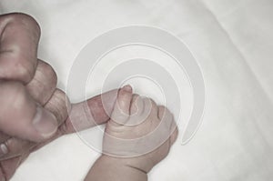 New parent holds his newborn infant baby`s hand for the first time. Parent holding newborns hand. Hand in hand. Parenthood. Mother