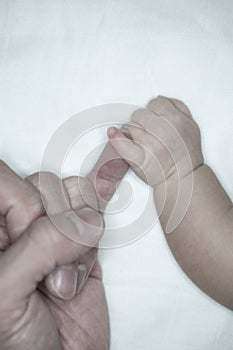 New parent holds his newborn infant baby`s hand for the first time. Parent holding newborns hand. Hand in hand. Parenthood. Mother