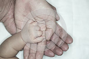 New parent holds his newborn infant baby`s hand for the first time. Parent holding newborns hand. Hand in hand. Parenthood. Mother