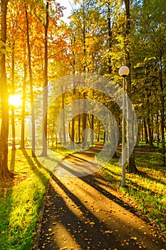 The new park of Moscow, fresh paths and the sun`s rays through the crowns of trees. Vnukovo