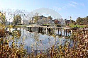 New Park Rozekensbos, Aalst, Belgium