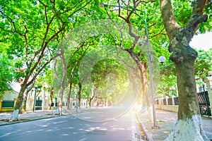 New pathway, Road and beautiful trees track for running or walking and cycling relax in the green park Sunlight.