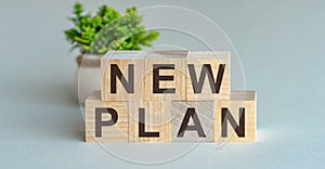 NEW PLAN motivation text on wooden blocks business concept white background. Front view concepts, flower in the background