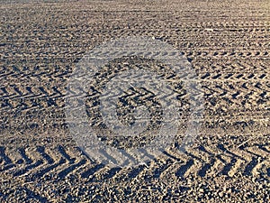 New planting of plants on plowing is useful