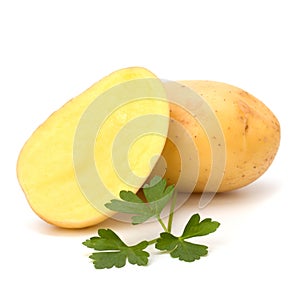 New potato and green parsley