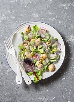 New potatoes, beans, radishes, green peas, cucumber salad with lemon mustard dressing on a gray background, top view. Healthy vege