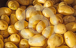 New potatoes on display for sale