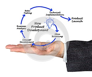 New Product Development