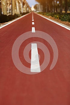 New red bikepath or pedestrian path separated by white line, traffic signs in the park. Bicycle path in European city photo