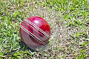 New Red Cricket Ball On Patchy Grass Lawn
