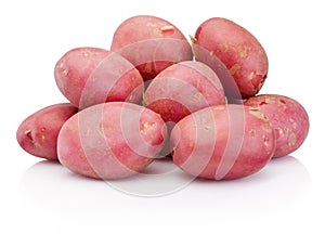 New red potato isolated on white background