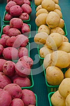 New Red and White Potatoes in baskets