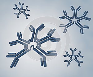 The new Redefined Structure of Antibody IgM