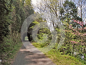 New River Trail Tunnel