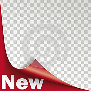 New Scrolled Corner Red Paper Cover Transparent