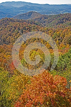 New section of the Foothills Parkway in fall colors.