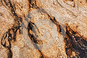 New Sedna - granite background, texture in ideal gold tone for your creative design work.