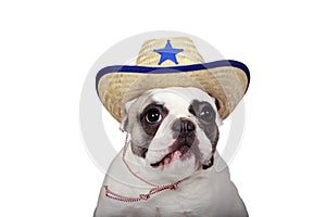 The New Sherriff In Town