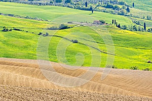 New sown field in an Italian rural landscape