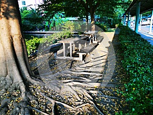 The new table in the park since the time