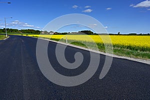 new tarmac road through yellow canola fields