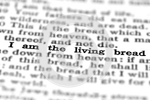 New Testament Scripture Quote Living Bread