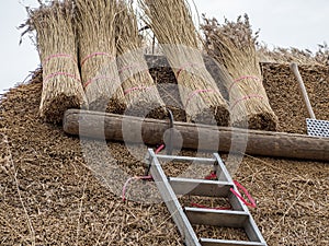 New thatched roof construction work